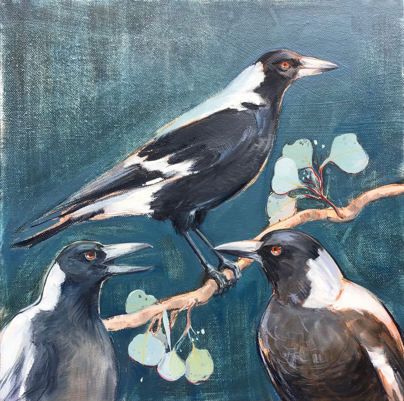 3 Australian magpies set against a green blue background with  gumtree foliage
